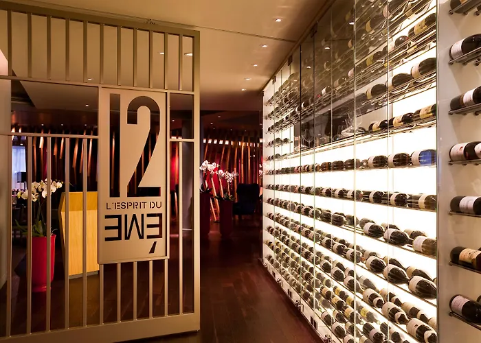 호텔 풀만 센터 - 베르시